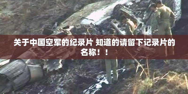 关于中国空军的纪录片 知道的请留下记录片的名称！！