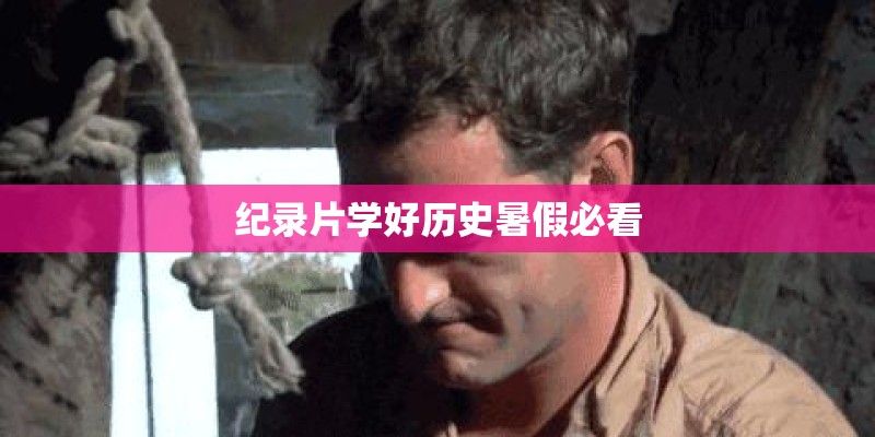 纪录片学好历史暑假必看