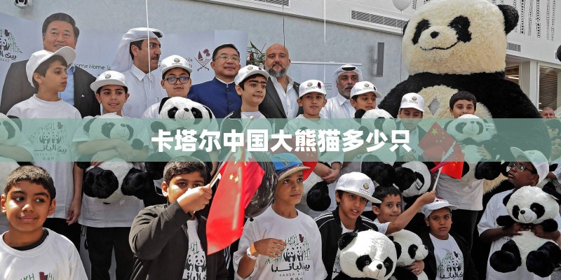 卡塔尔中国大熊猫多少只