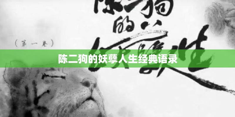 陈二狗的妖孽人生经典语录 陈二狗的妖孽人生经典语录