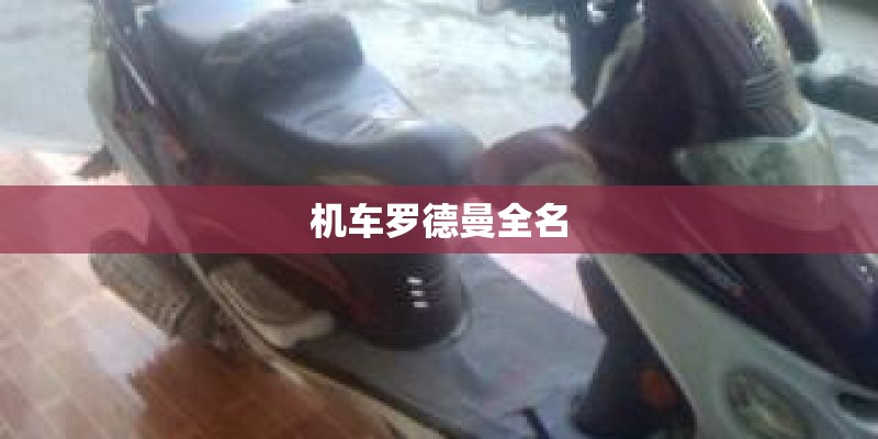 机车罗德曼全名