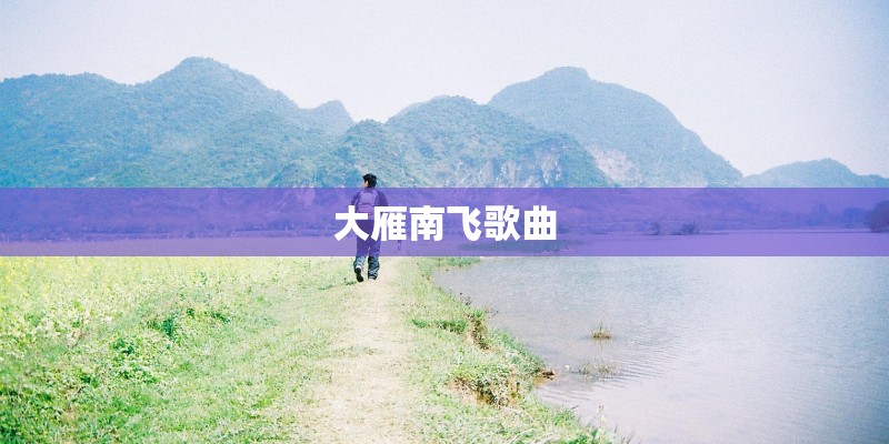 大雁南飞歌曲