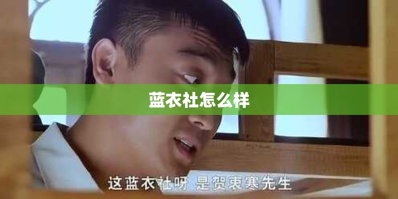 蓝衣社怎么样