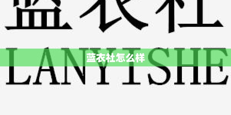 蓝衣社怎么样