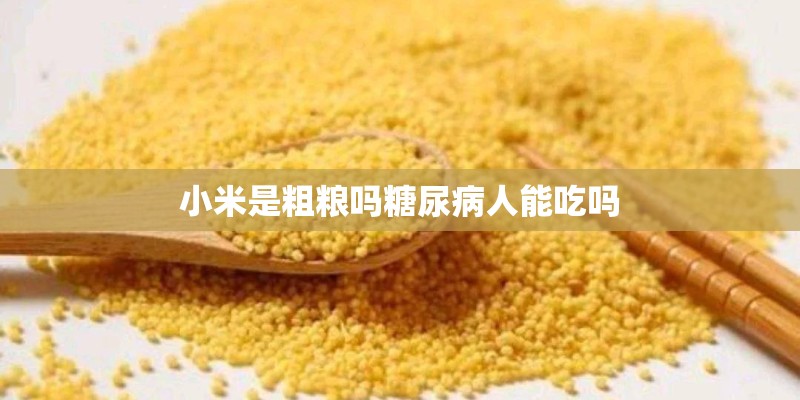小米是粗粮吗糖尿病人能吃吗 小米是粗粮吗糖尿病人能吃吗