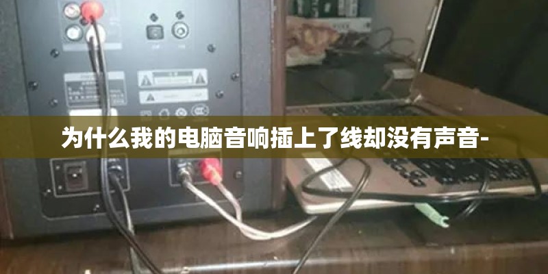 为什么我的电脑音响插上了线却没有声音- 为什么我的电脑音响插上了线却没有声音-