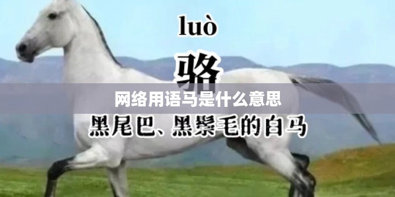 网络用语马是什么意思