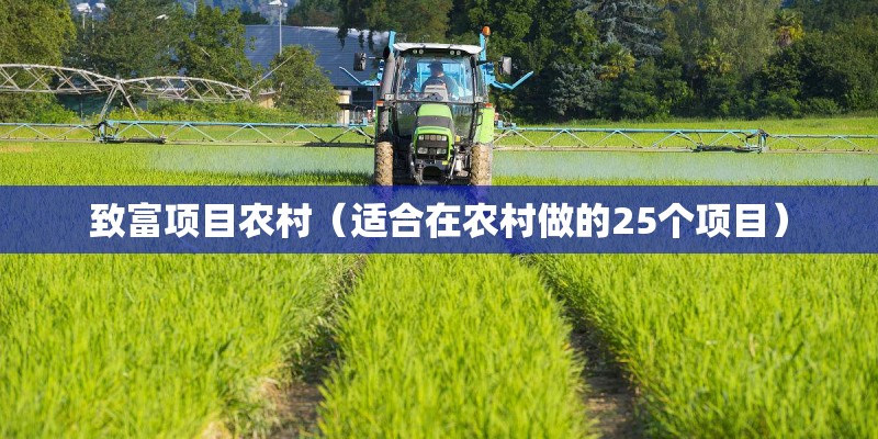 致富项目农村（适合在农村做的25个项目）