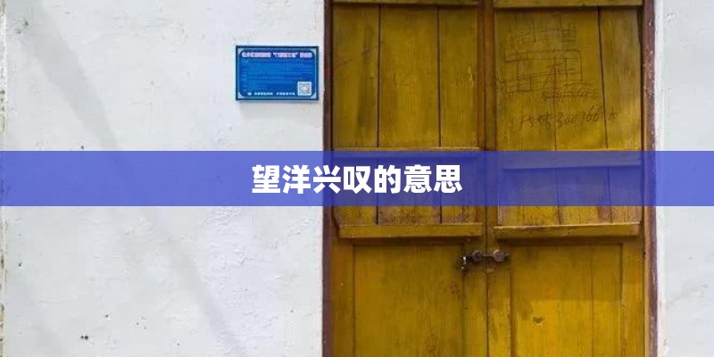 望洋兴叹的意思