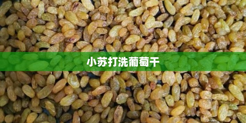 小苏打洗葡萄干