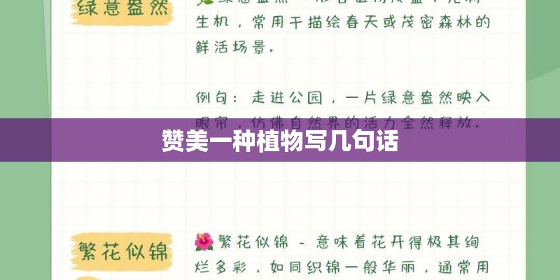 荷花有哪些特点？