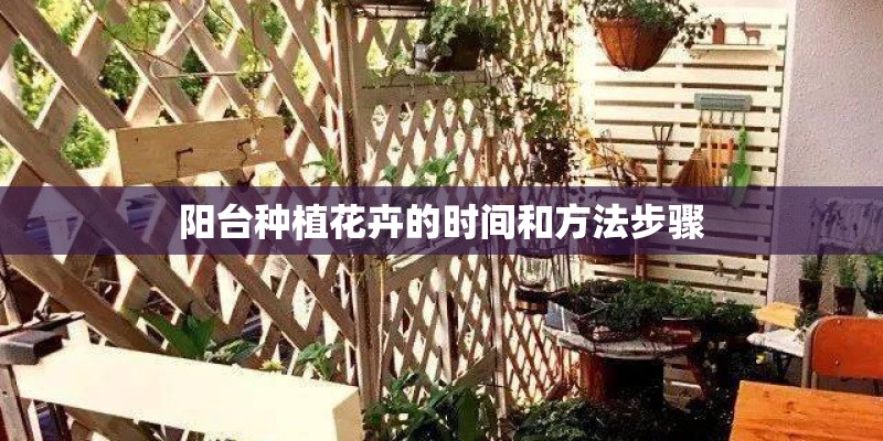 阳台种植花卉的时间和方法步骤