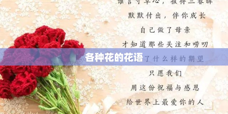 各种花的花语