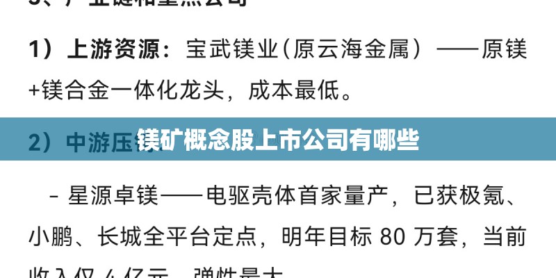 镁矿概念股上市公司有哪些