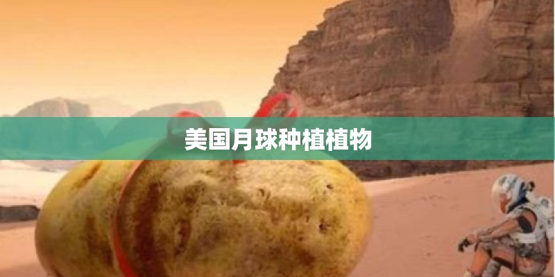 美国月球种植植物
