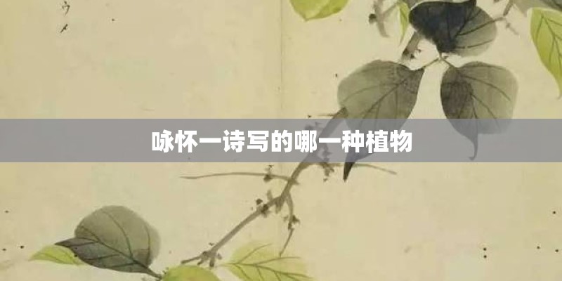 咏怀一诗写的哪一种植物