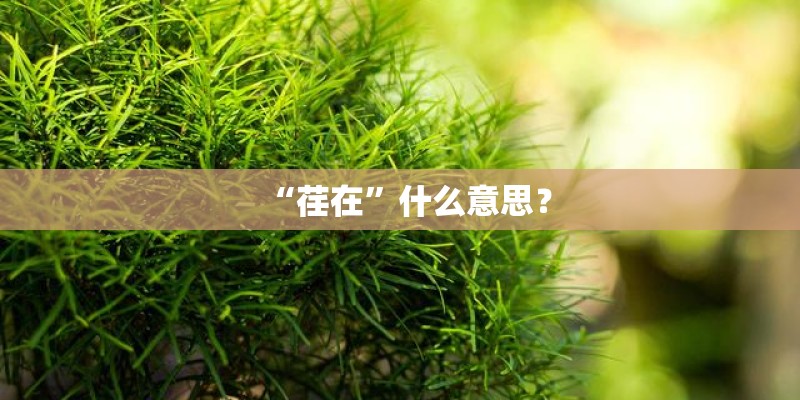 “荏在”什么意思？