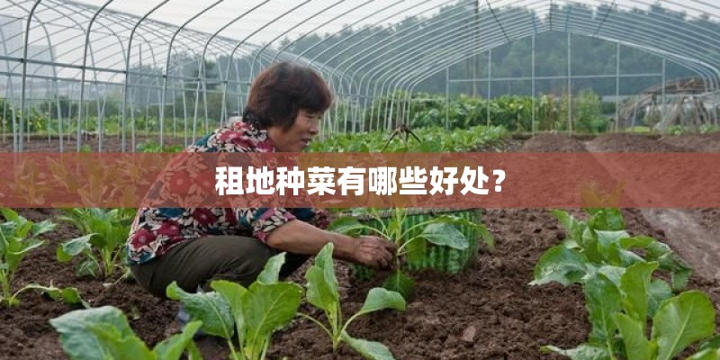 租地种菜有哪些好处？