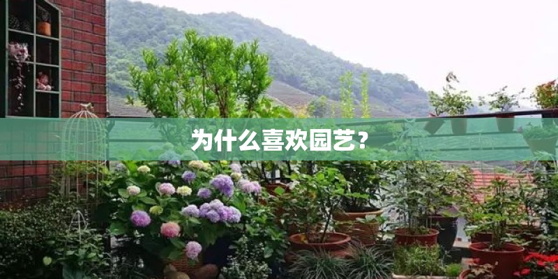 为什么喜欢园艺？