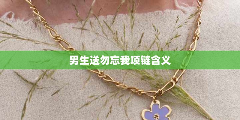 男生送勿忘我项链含义