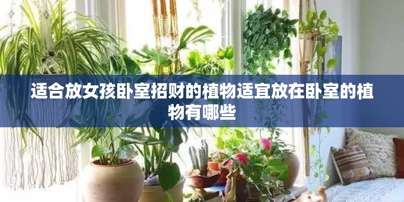 适合放女孩卧室招财的植物适宜放在卧室的植物有哪些