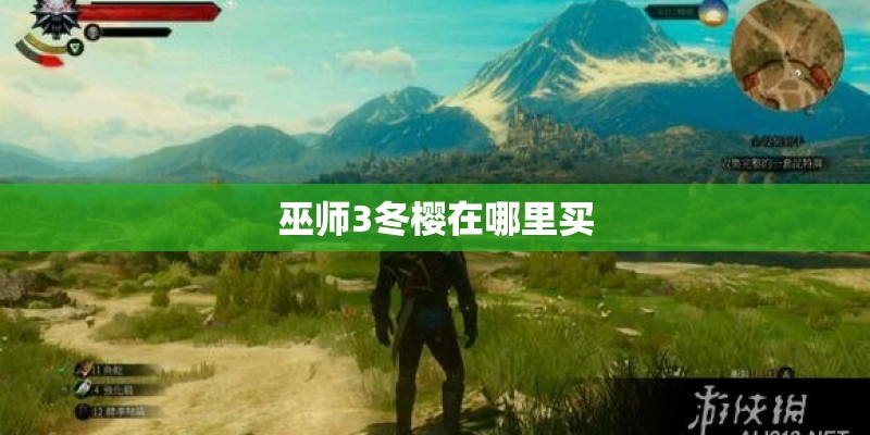 巫师3冬樱在哪里买