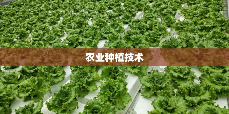 农业种植技术