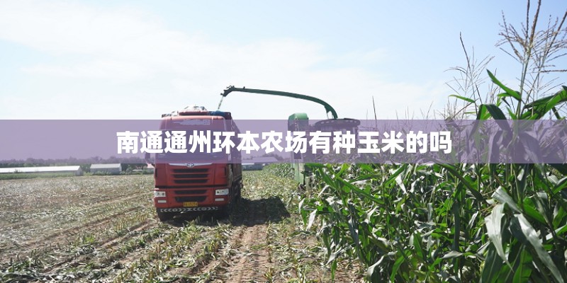 南通通州环本农场有种玉米的吗
