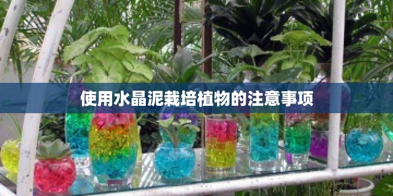 使用水晶泥栽培植物的注意事项