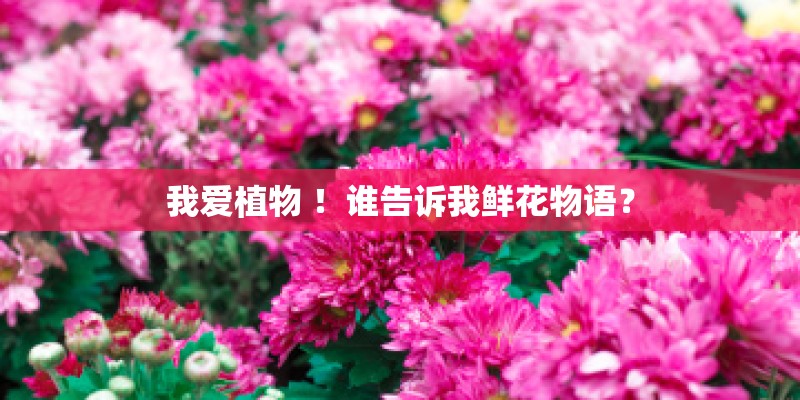 我爱植物 ！谁告诉我鲜花物语？