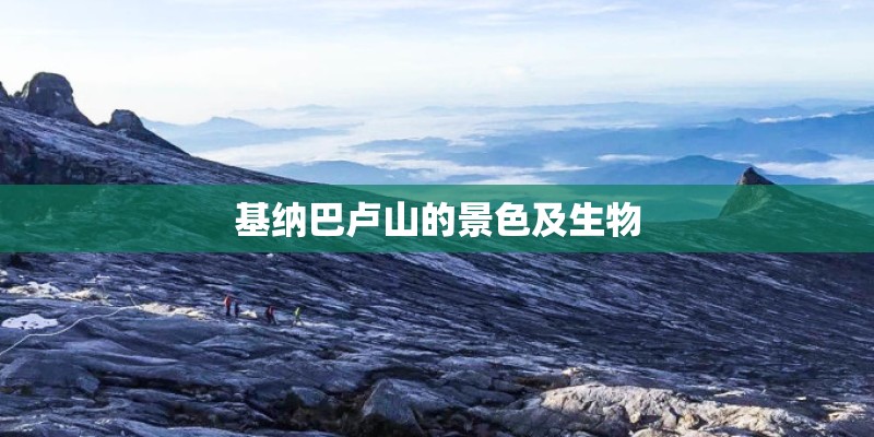 基纳巴卢山的景色及生物