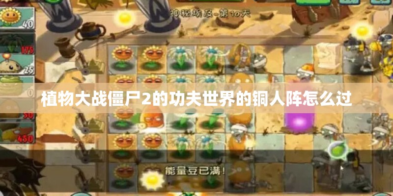 植物大战僵尸2的功夫世界的铜人阵怎么过