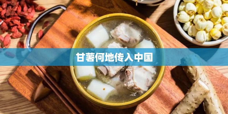 甘薯何地传入中国