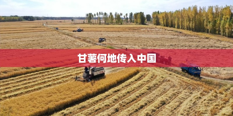 甘薯何地传入中国