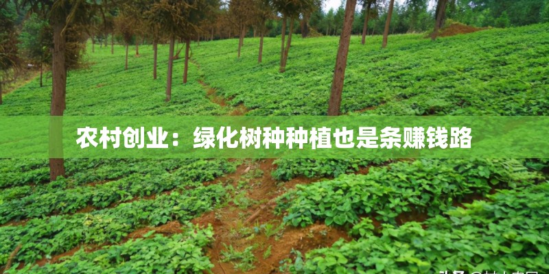 盆栽葫芦的种植方法