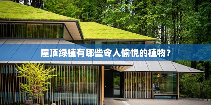 屋顶绿植有哪些令人愉悦的植物？
