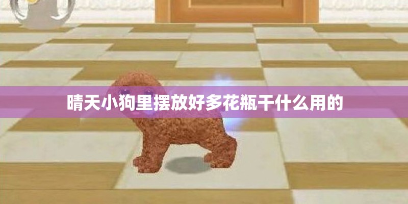 晴天小狗里摆放好多花瓶干什么用的 晴天小狗里摆放好多花瓶干什么用的