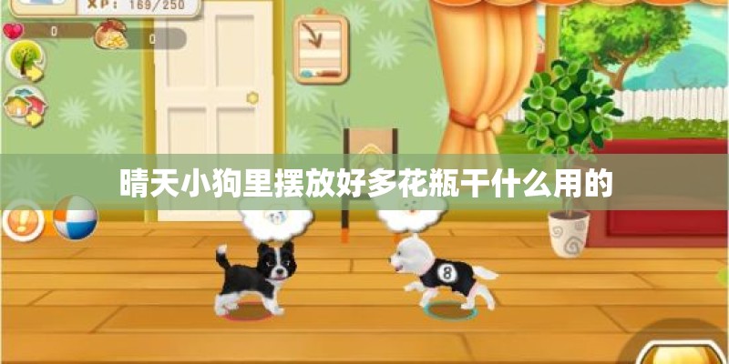 晴天小狗里摆放好多花瓶干什么用的 晴天小狗里摆放好多花瓶干什么用的