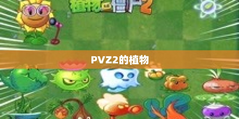PVZ2的植物