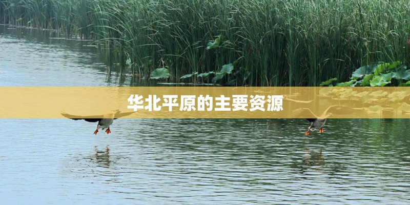 华北平原的主要资源