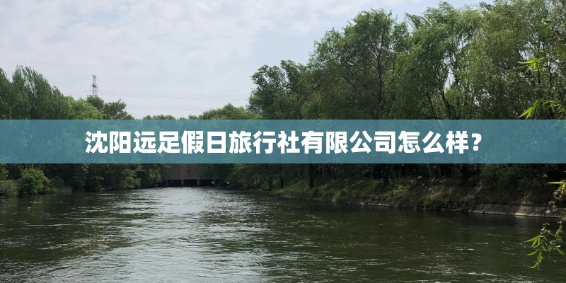 沈阳远足假日旅行社有限公司怎么样？