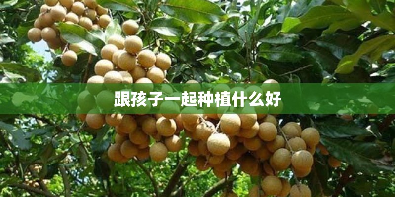 跟孩子一起种植什么好