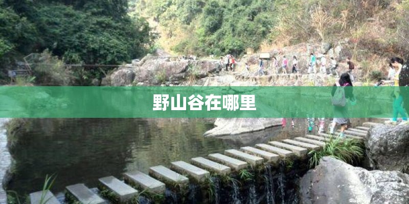 野山谷在哪里