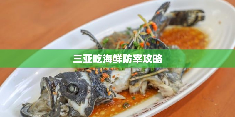 三亚吃海鲜防宰攻略