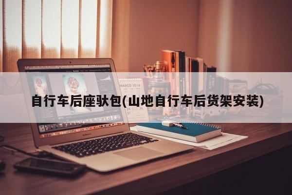 自行车后座驮包(山地自行车后货架安装)
