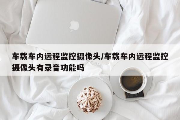 车载车内远程监控摄像头/车载车内远程监控摄像头有录音功能吗