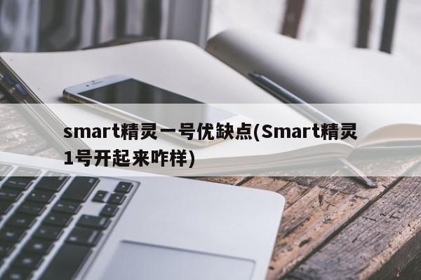 smart精灵一号优缺点(Smart精灵1号开起来咋样)
