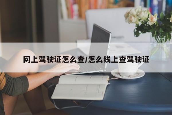 网上驾驶证怎么查/怎么线上查驾驶证