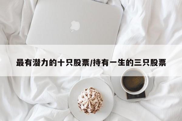 最有潜力的十只股票/持有一生的三只股票
