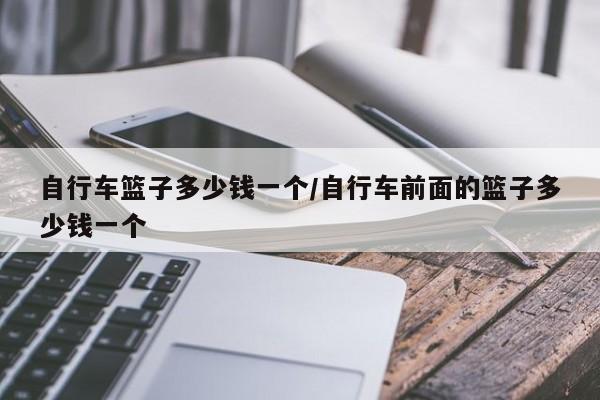 自行车篮子多少钱一个/自行车前面的篮子多少钱一个